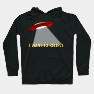 I Want To Believe Hoodie